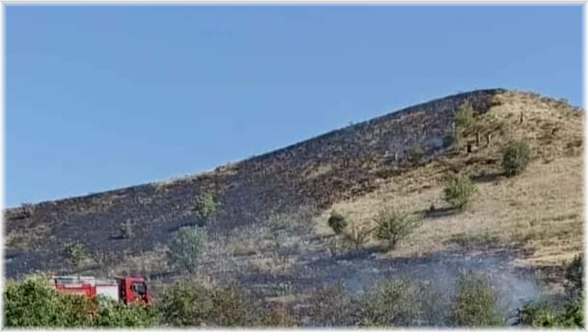 Tunceli'deki örtü yangını söndürüldü