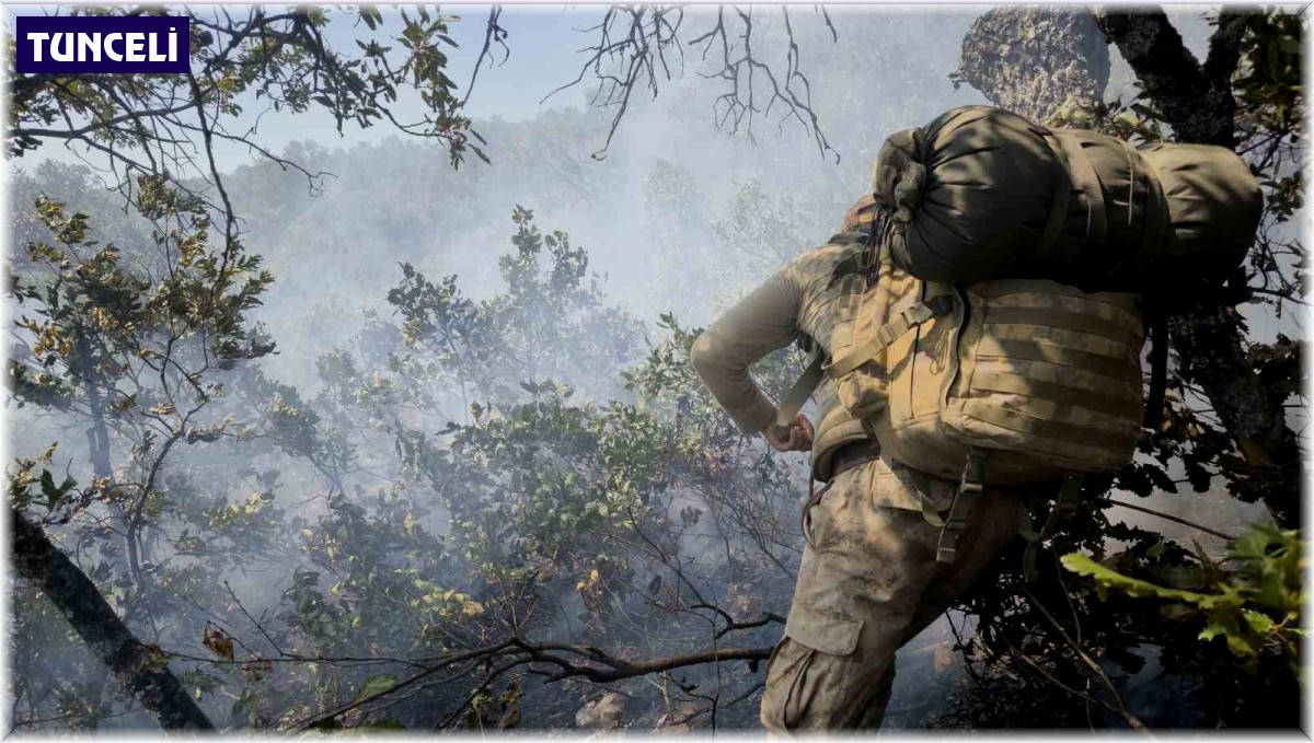 Tunceli'deki yangına, karadan ve havadan müdahale sürüyor