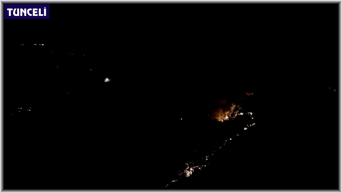 Tunceli'deki yangından 150 dönümlük alan etkilendi