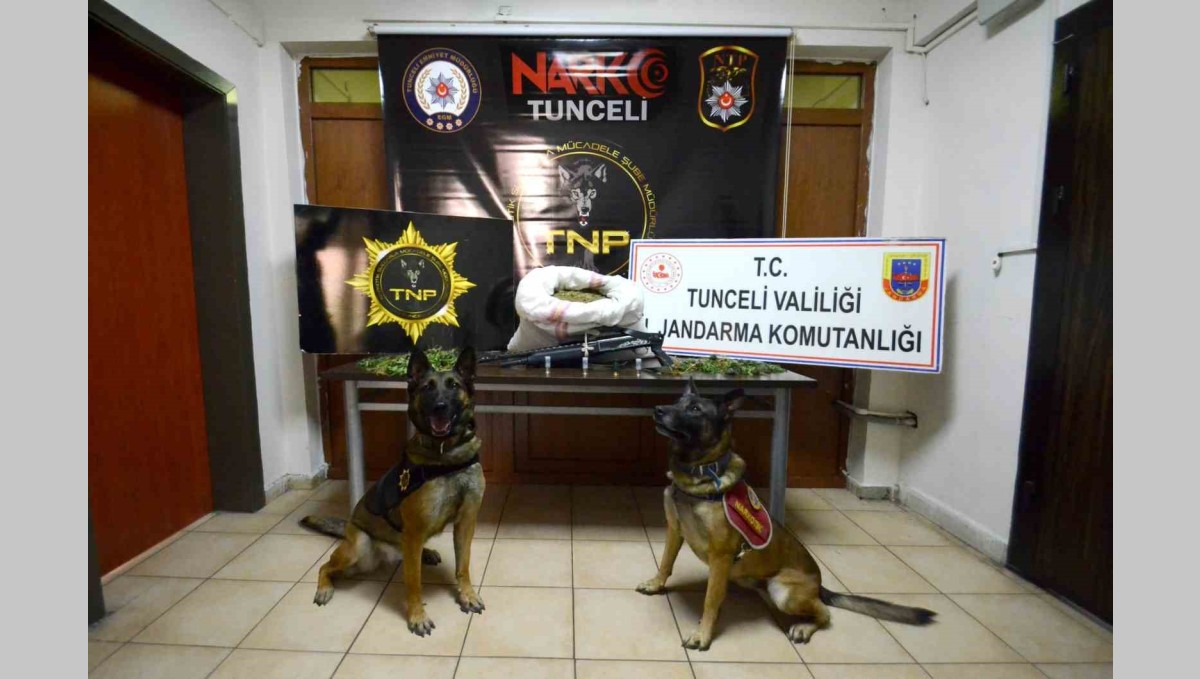 Tunceli merkezli 3 ilde uyuşturucu operasyonu: 23 kilo esrar ele geçirildi
