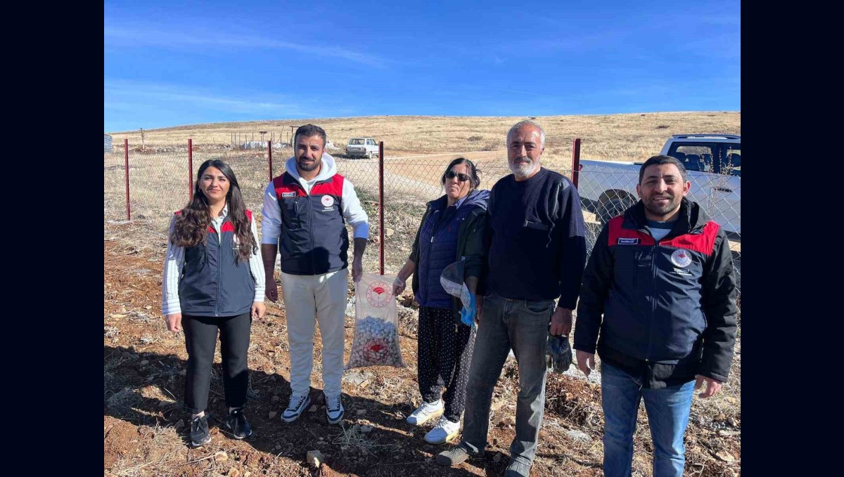 Tunceli'nin 4 ilçesinde sarımsak ekimi yapıldı