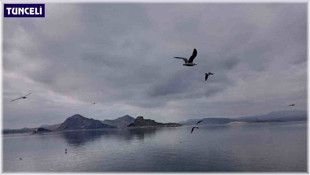 Tunceli'nin o ilçesinde suya zam yok