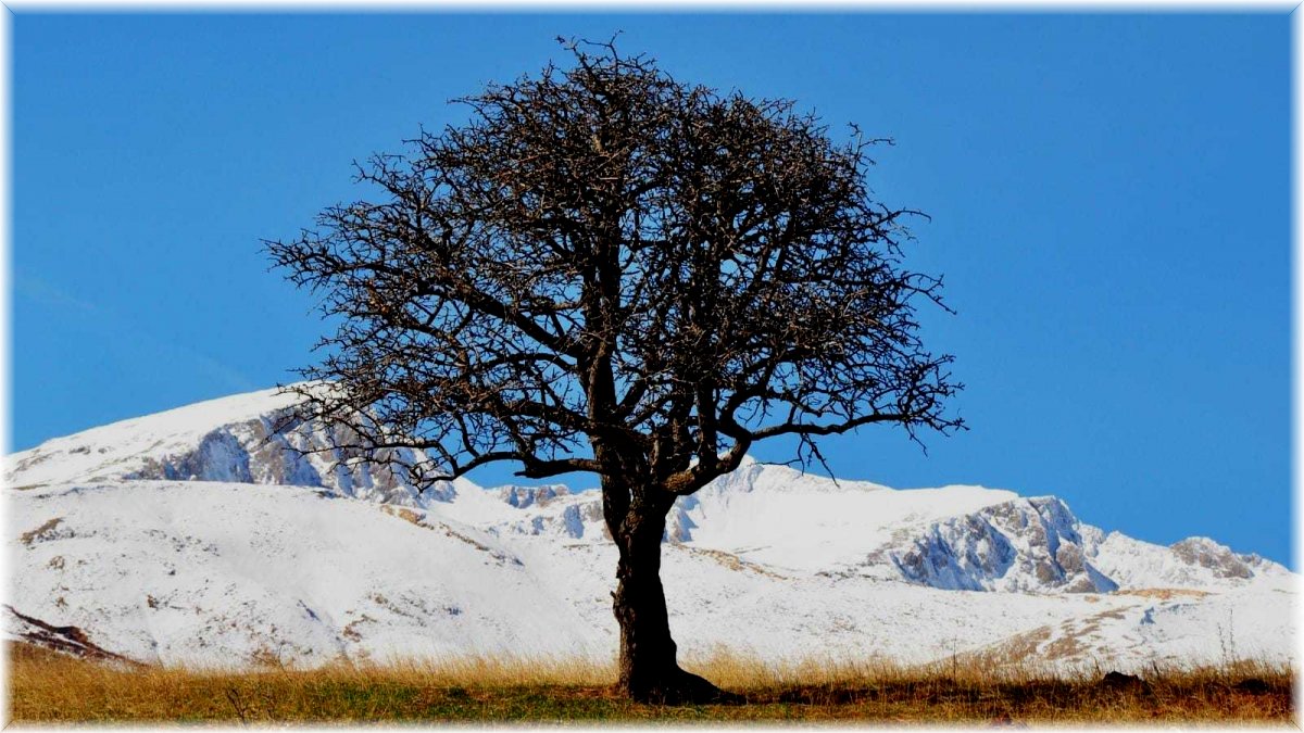 Tunceli'nin yüksek kesimlerinde kar yağışı etkili oldu