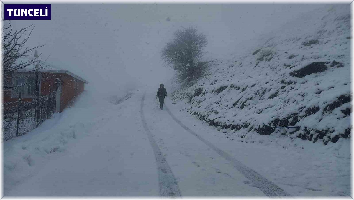 Tunceli'nin yüksek kesimlerinde kar yağışı etkili olmaya başladı