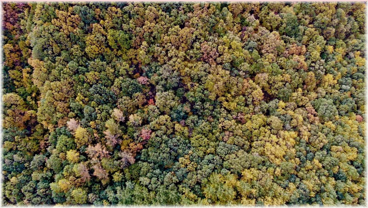 Tunceli sonbaharda görsel şölen sunuyor