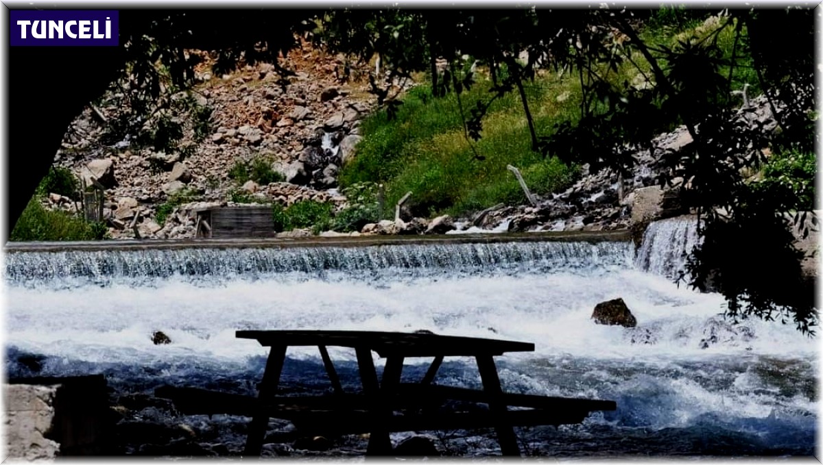Tunceli Valiliği, Munzur gözelerinde yasak kararı aldı