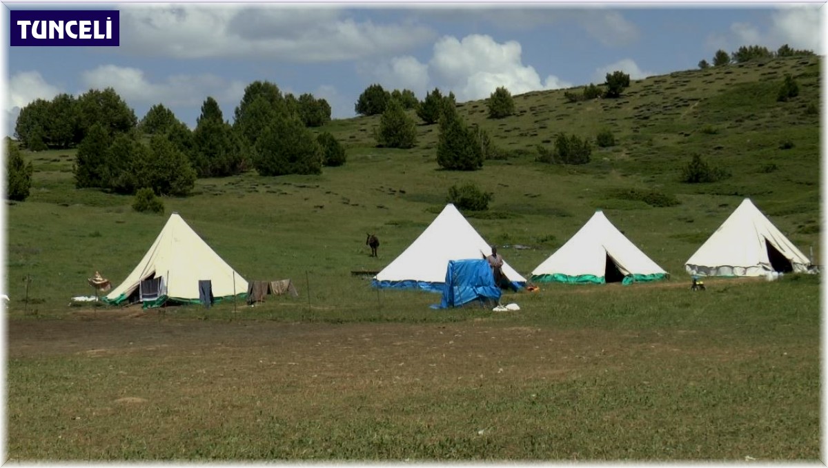 Tunceli Valiliği'nden sürü sahipleri ve arıcılara duyuru
