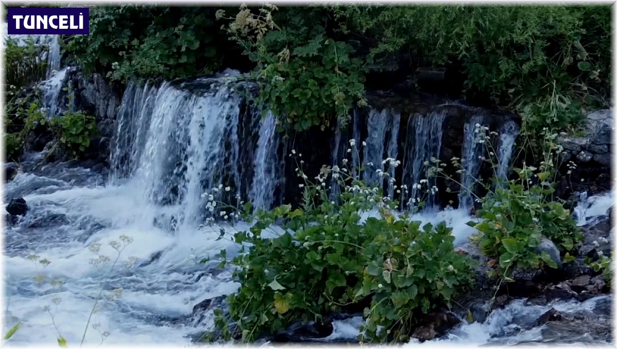 Tunceli Valisi Tekbıyıkoğlu: "İlimizde herhangi bir terörist unsur bulunmamaktadır"
