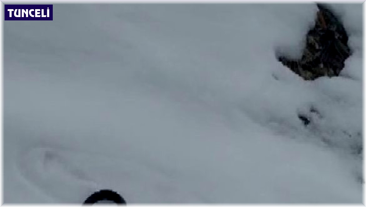 Tunceli'yi tedirgin eden görüntü