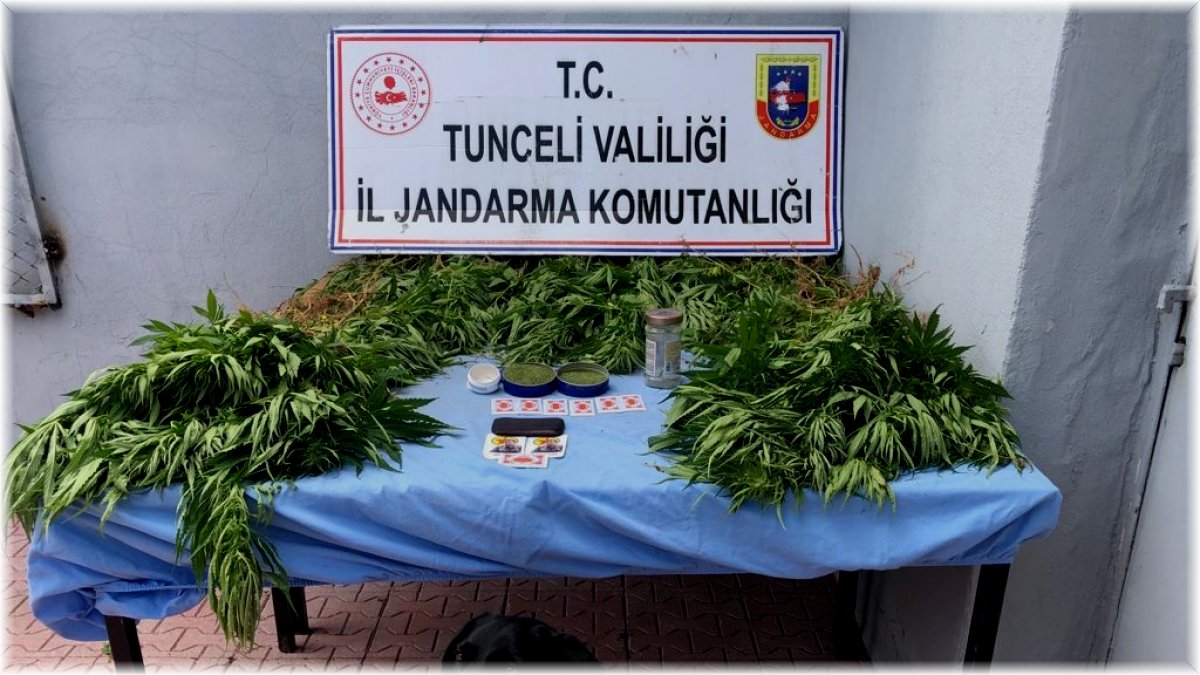 Tunceli’de uyuşturucu operasyonunda 1 gözaltı