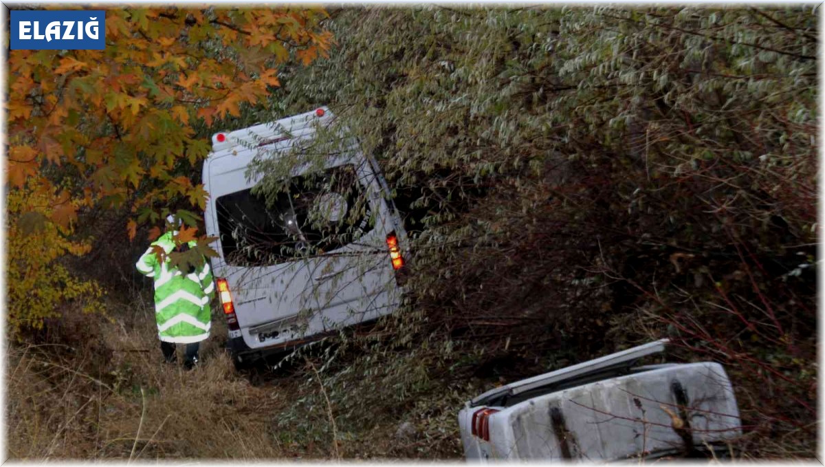 Tur minibüsü şarampole uçtu: 20 yaralı