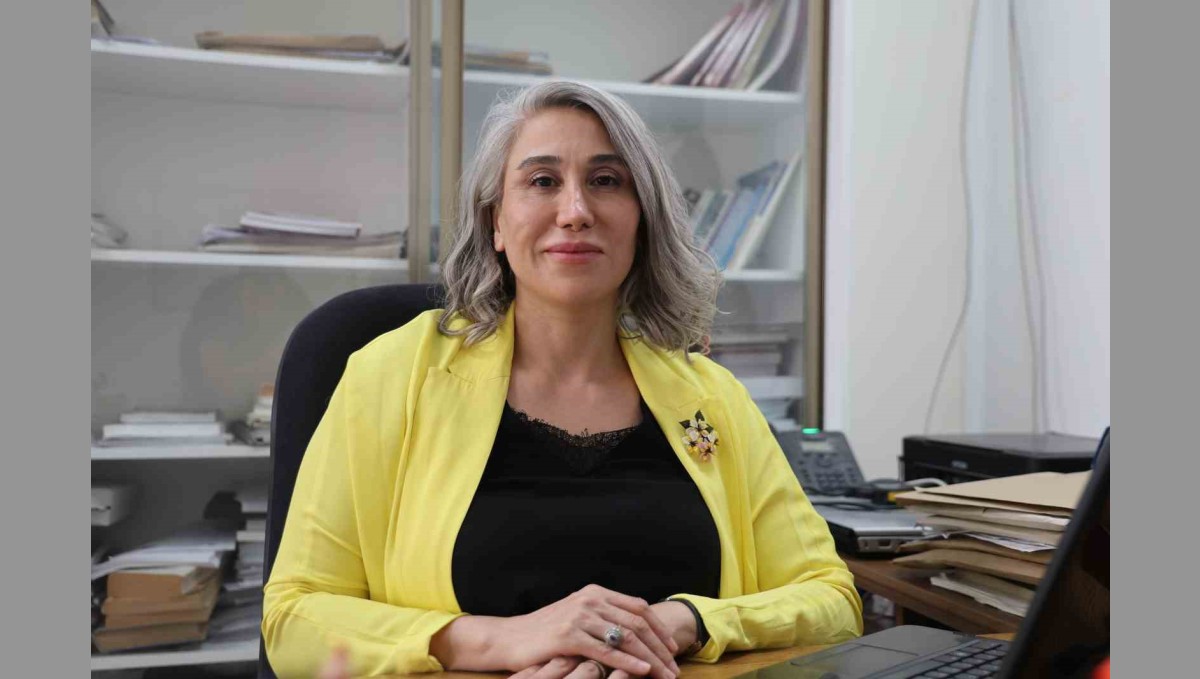 Türk bilim insanlarından dev çalışma, elektrikli araçlar daha güvenli olacak