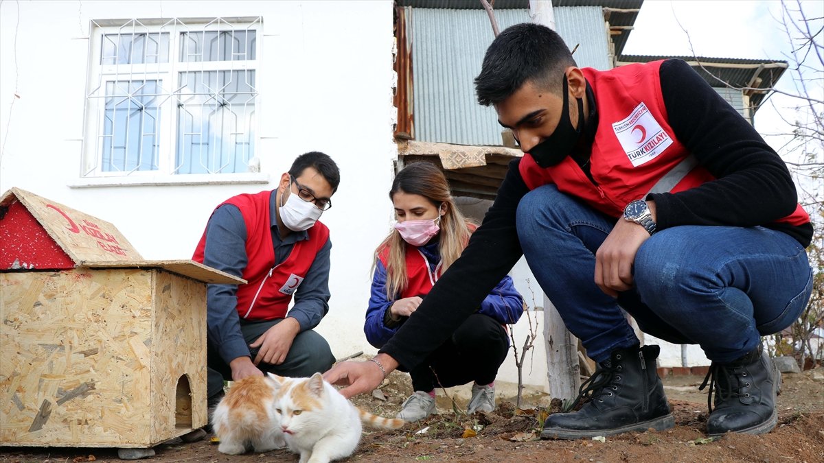 Türk Kızılay gönüllülerinden sokak hayvanlarına sıcak yuva ve mama