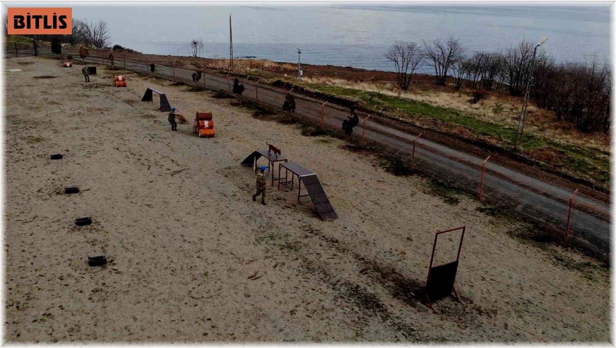 Türk Silahlı Kuvvetleri için yetiştirilen köpeklerin zorlu eğitimi