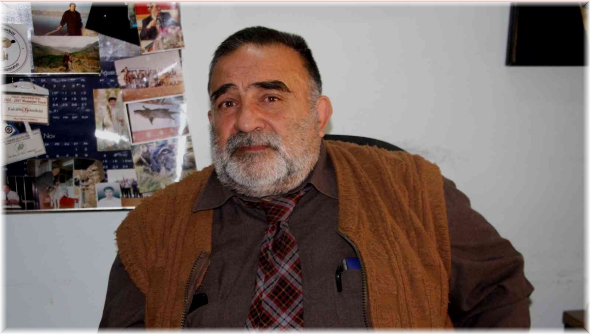 Türkiye iç sularına nasıl girdiği bilinmiyor, kilosuna göre havyarı 20 milyon liraya alıcı buluyor