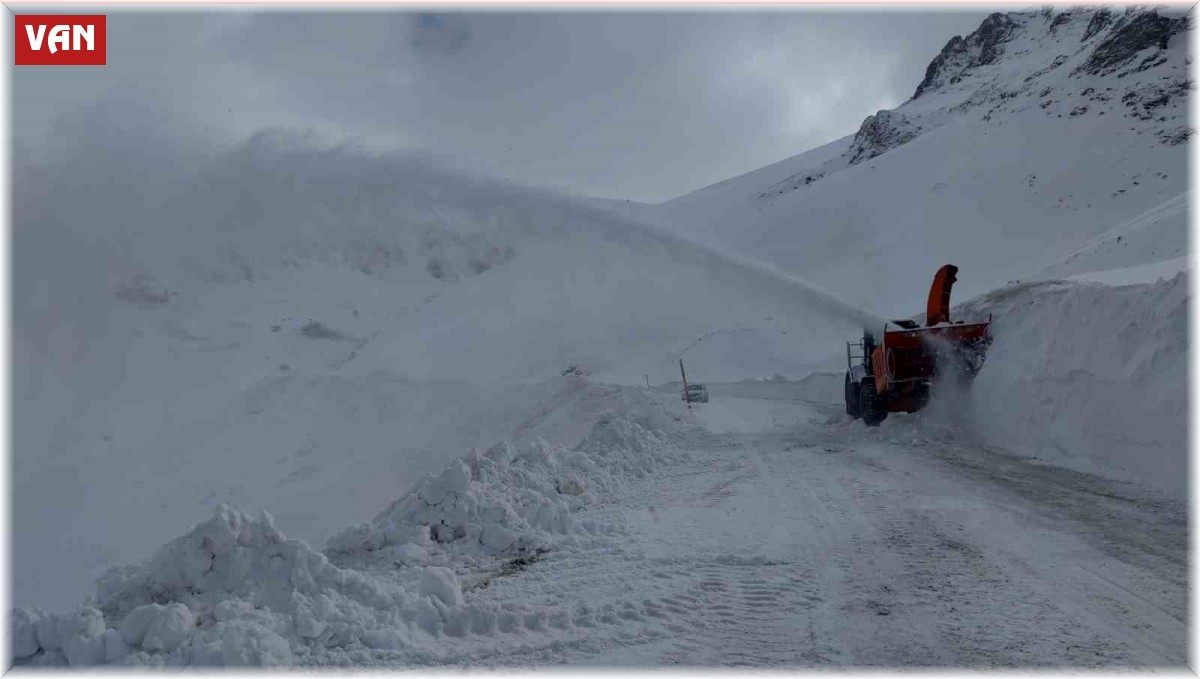 Türkiye'nin büyük bir bölümü ilkbaharı karşılarken Van'da karla mücadele sürüyor