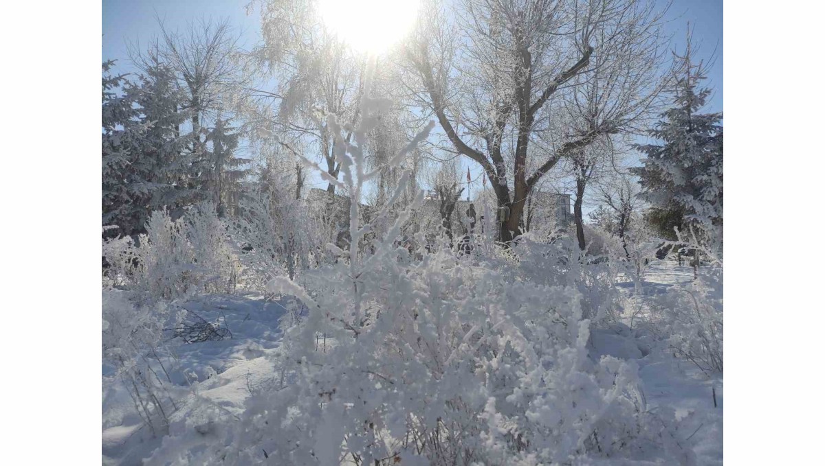 Türkiye'nin en soğuk yeri eksi 28,4 dereceyle Ardahan Göle oldu