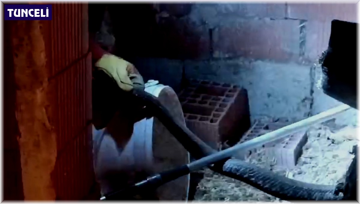 Türkiye'nin en zehirli yılanı tavuk kümesine girdi