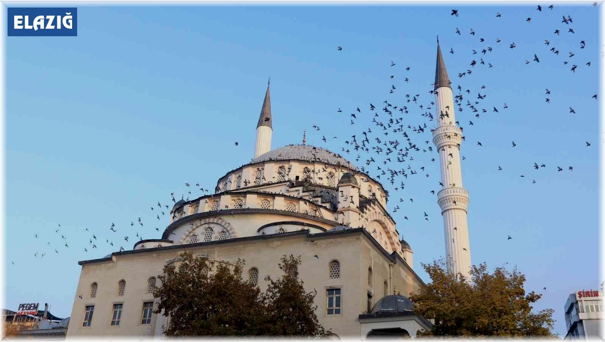 Türkiye'nin ilk asansörlü camisi güvercinleri ağırladı