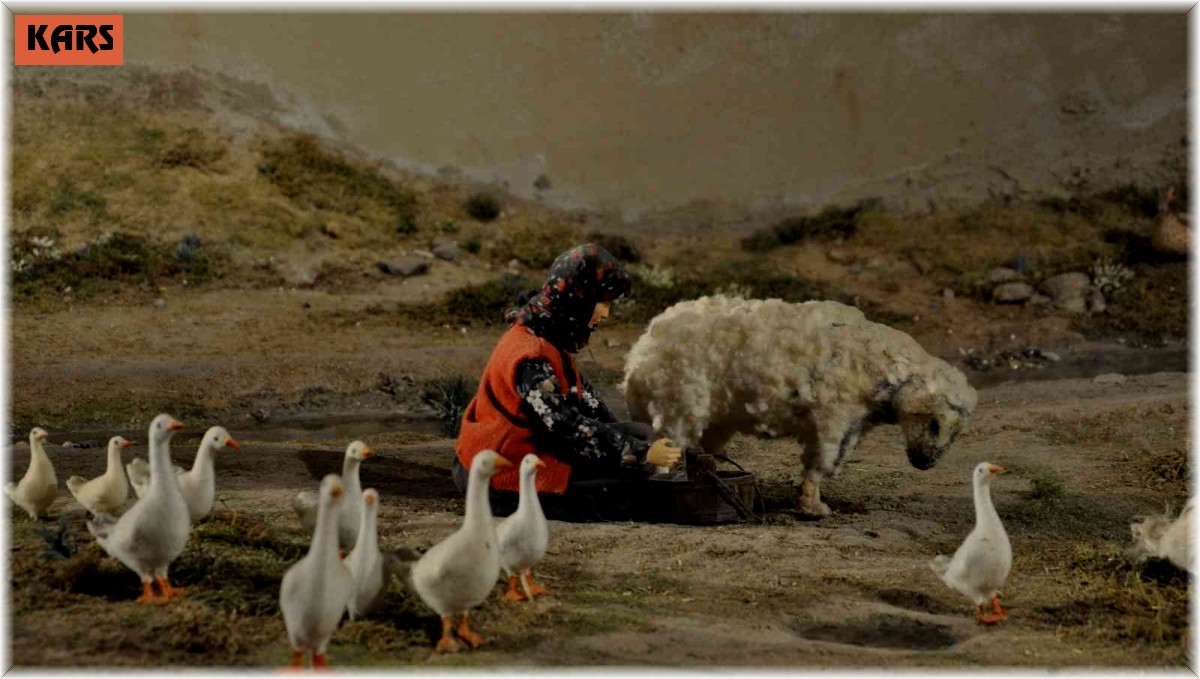 Türkiye'nin ilk Peynir Müzesi Kars'ta