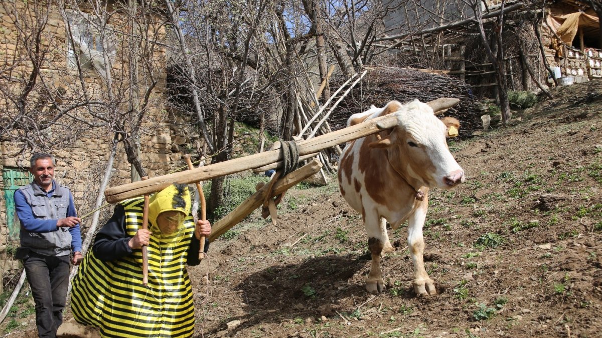 Türkücü Aydın Aydın arı kostümü giyerek hayvanlarla helalleşti