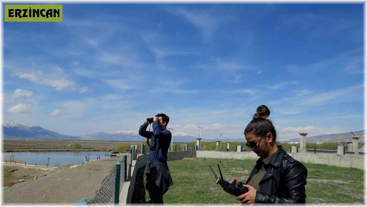 Türkülere ilham kaynağı olan turnaların envanter çalışması yapıldı