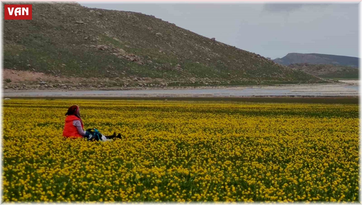 Turna Gölü doğaseverleri mest etti