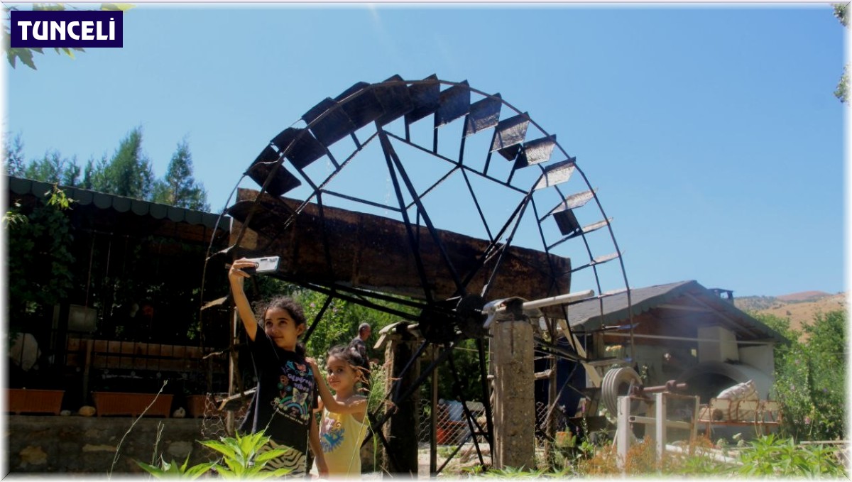 Türünün son örneği su dolabı 80 yıldır dönüyor