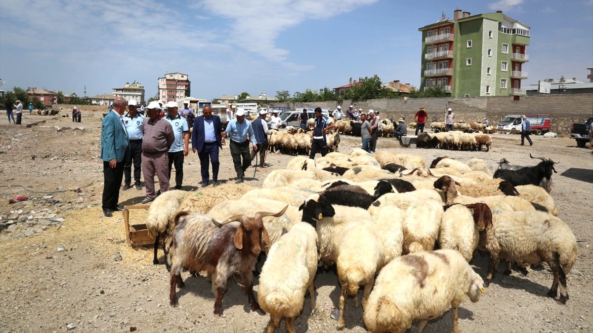 Tuşba Belediye Başkanı Akman kurbanlık satış noktalarını gezdi
