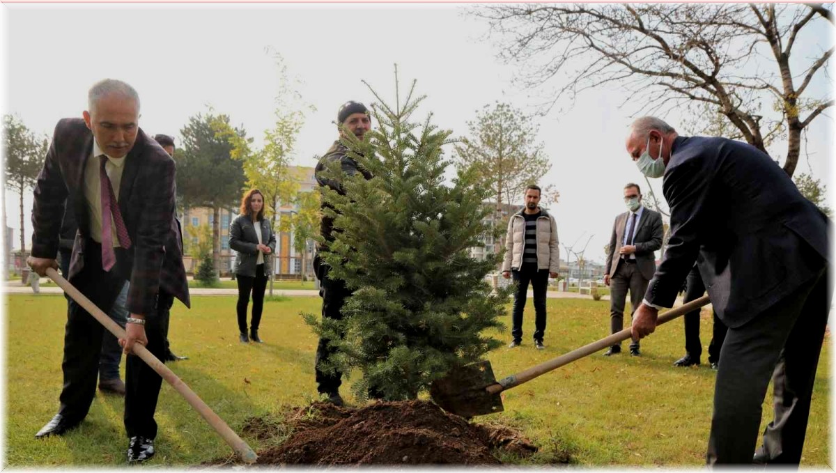 Tuşba Belediyesi'nden Milli Ağaçlandırma Günü etkinliği