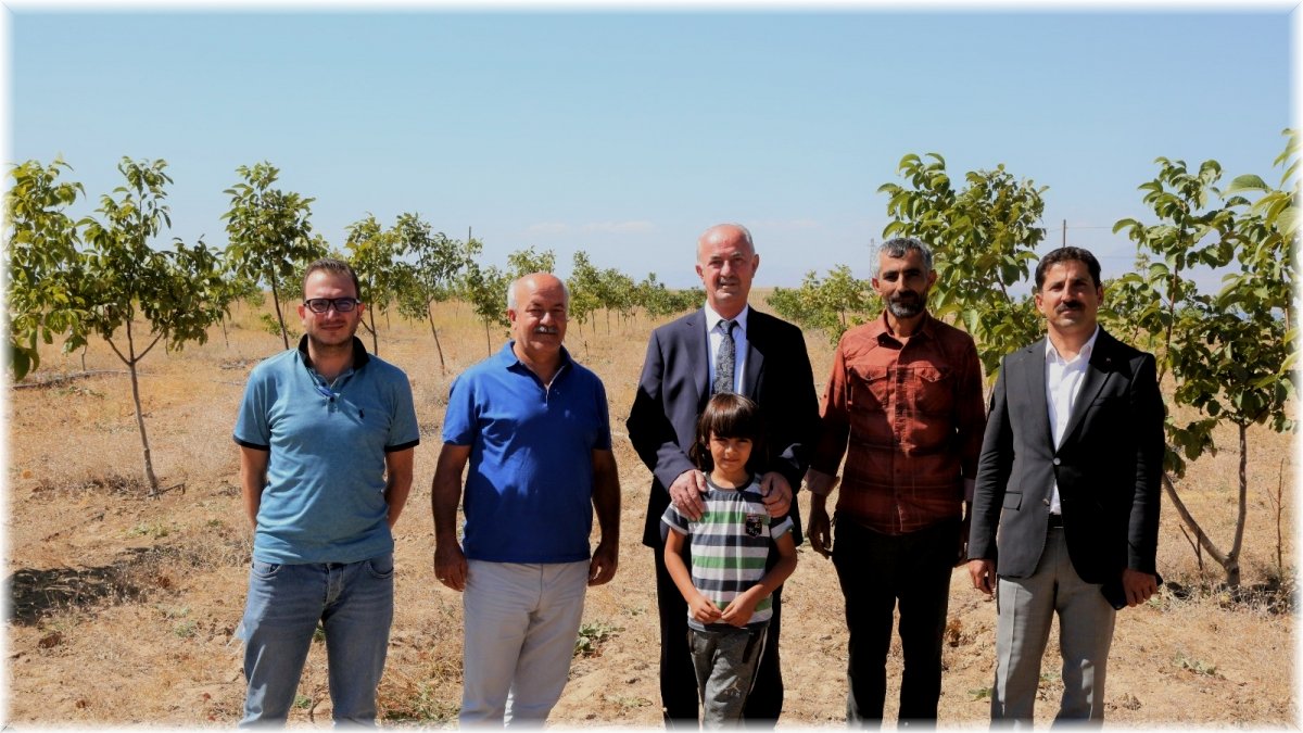 Tuşba Belediyesi'nin öncülük ettiği 'Model ceviz-badem' bahçelerinde ürün alınmaya başlandı