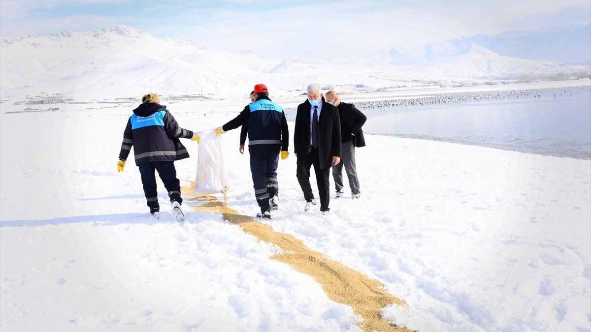 Tuşba Belediyesi, yaban hayvanları için doğaya yem bıraktı