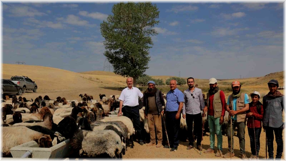 Tuşba Belediyesinden kırsal mahallelere sıvat desteği