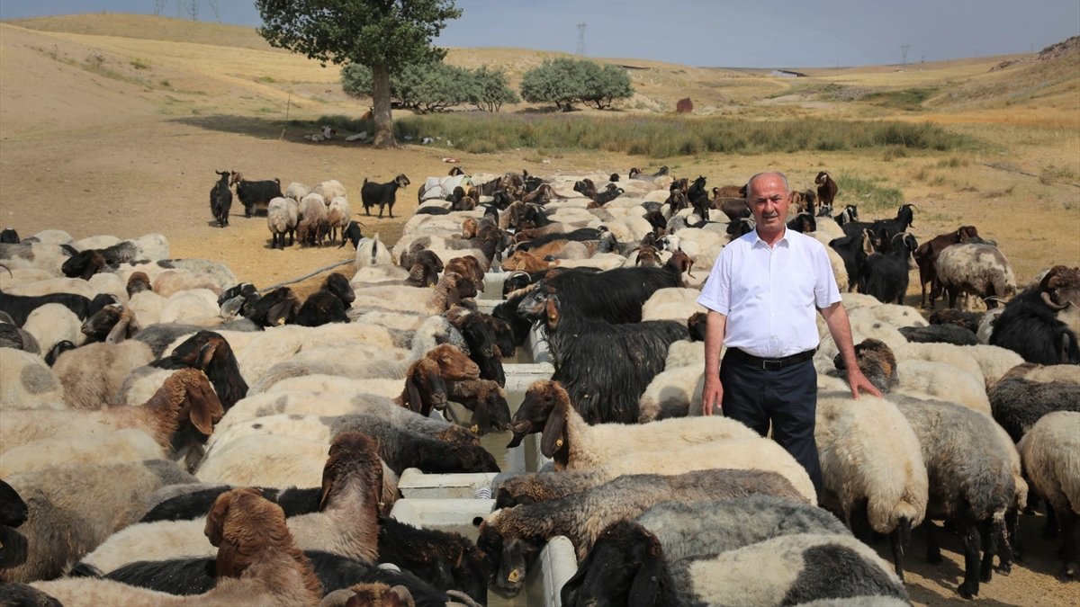 Tuşba Belediyesinin sıvat desteği devam ediyor