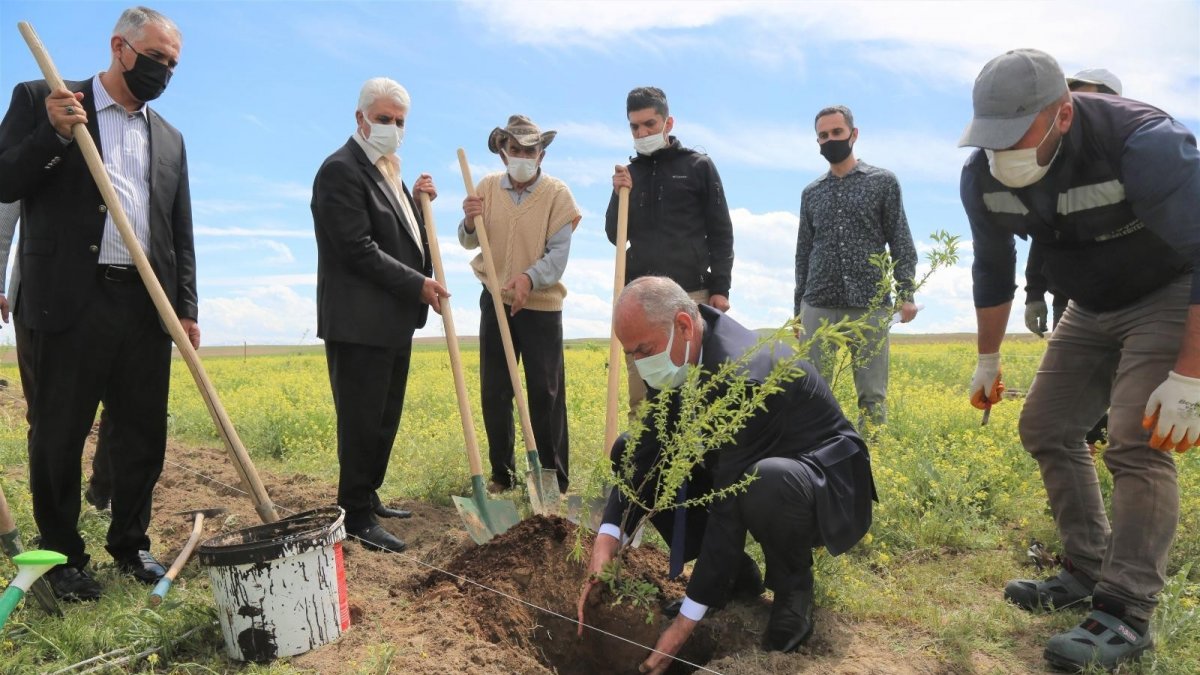 Tuşba'da ceviz ve badem fidanları toprakla buluşturuluyor