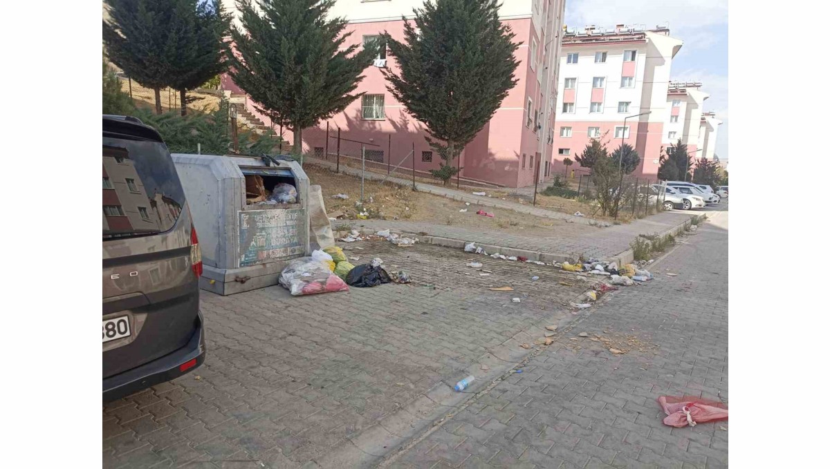 Tuşba'da yol ve çöp sorunu vatandaşları bıktırdı