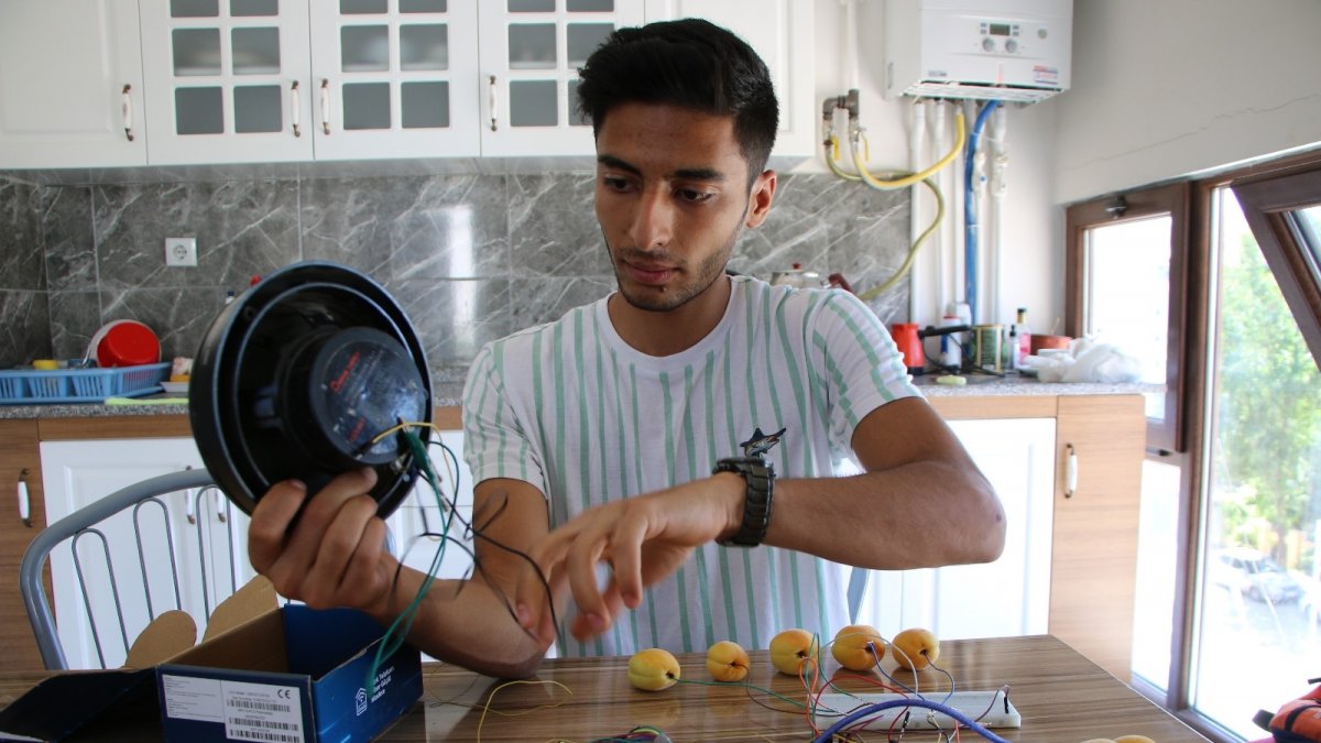 Tuşları kayısıdan olan piyano yaptı, görenler gözlerine inanamadı