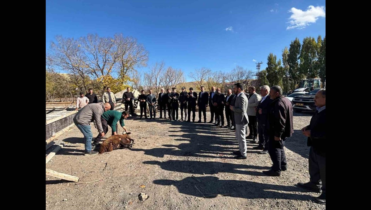 Tutak'ta hayvan pazarı yapılıyor