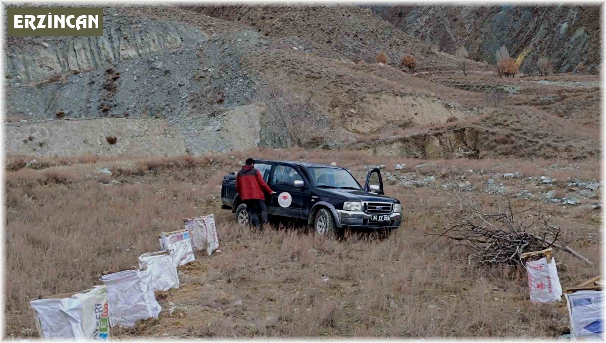 Tuz çalısı deneme sahası oluşturuldu