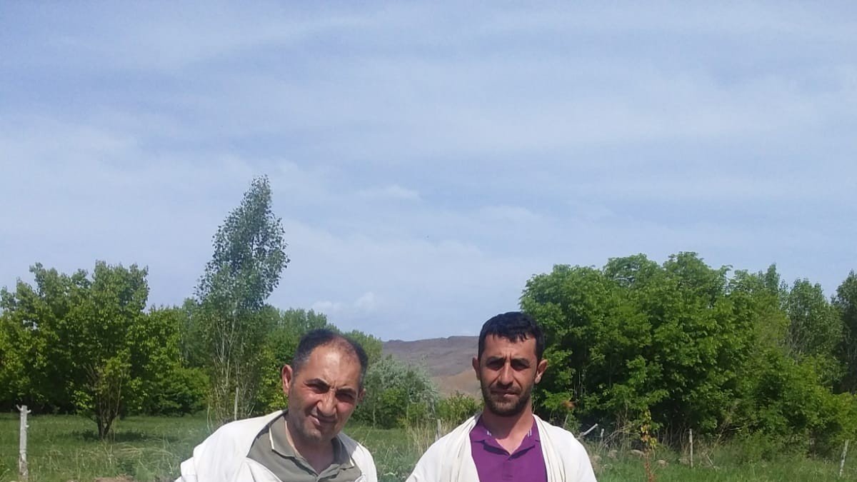 Tuzluca'da Arı sütü sağımı başladı