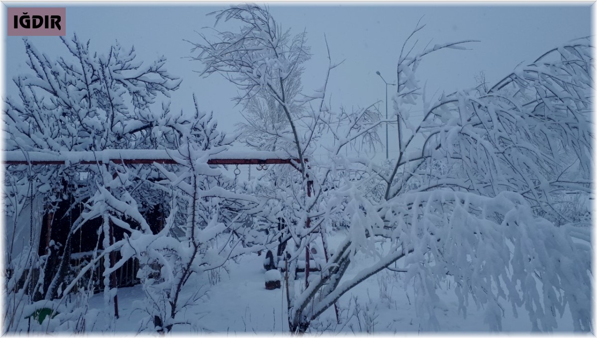 Tuzluca'da kar yağışı etkili oluyor