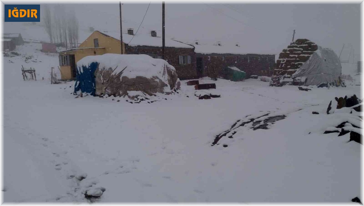Tuzluca'da kar yağışı etkili oluyor