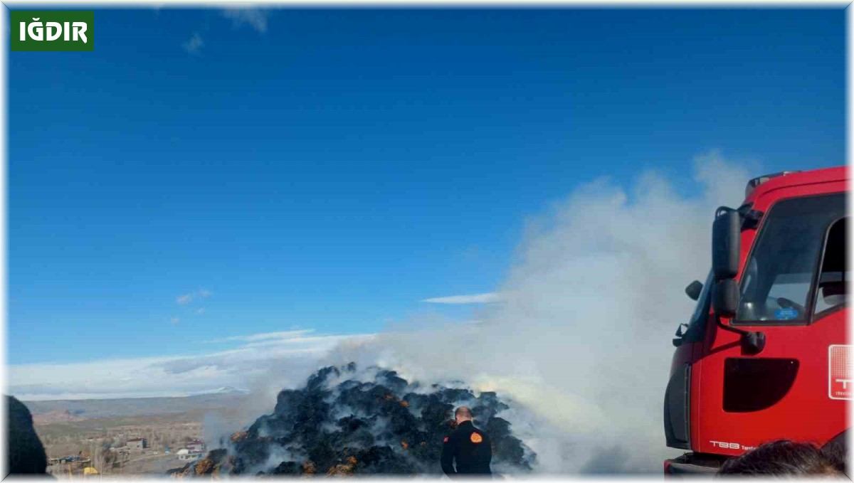 Tuzluca'da ot yangını
