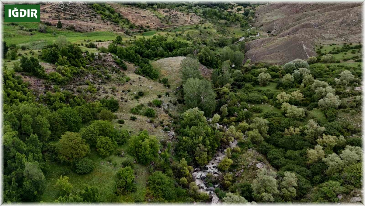 Tuzluca'dan nefes kesen doğal güzellikler
