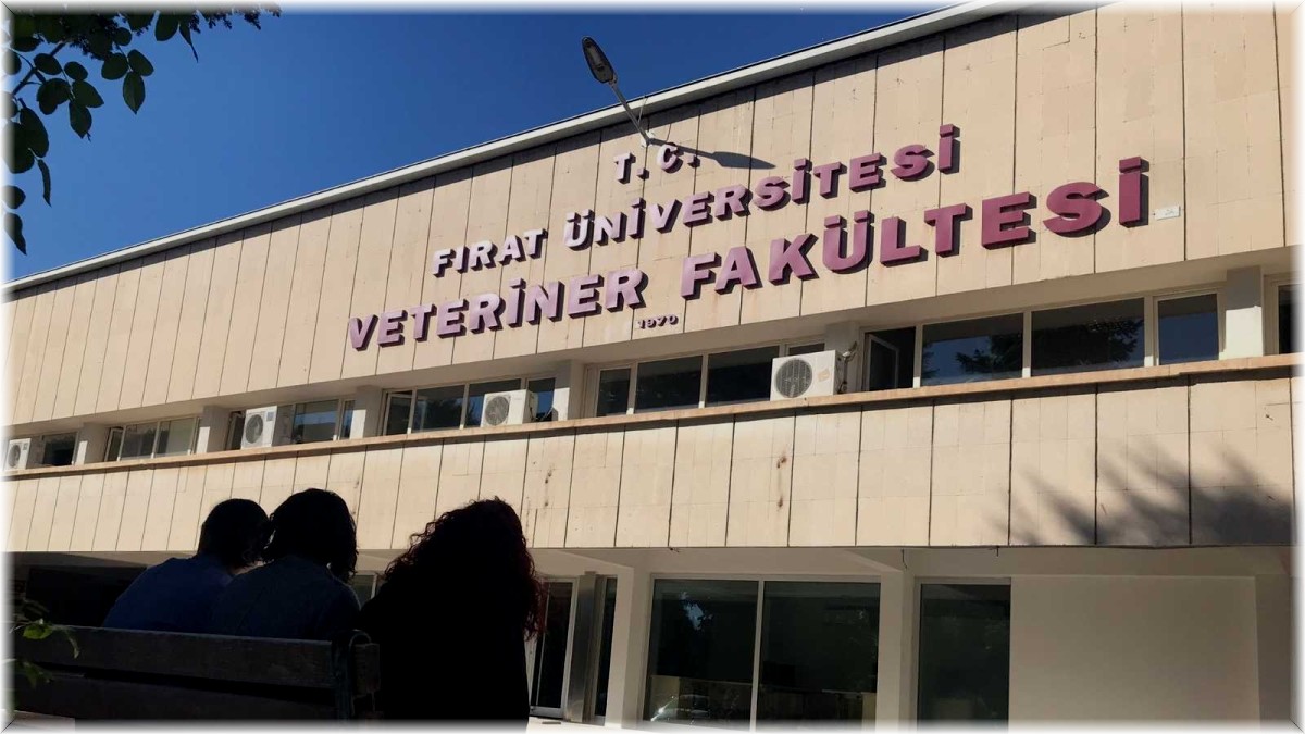 Uluslararası başarıya imza atan FÜ Veteriner Fakültesi, EAEVE tarafından akredite edildi
