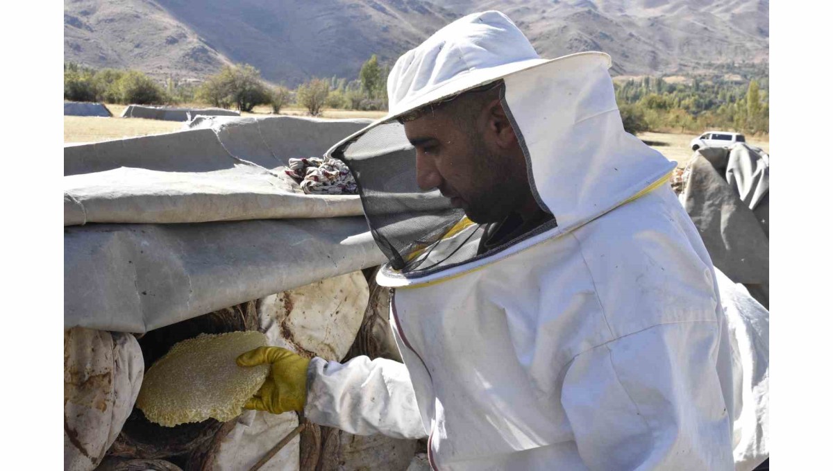 Uluslararası ödüllü Bitlis karakovan balında hasat zamanı