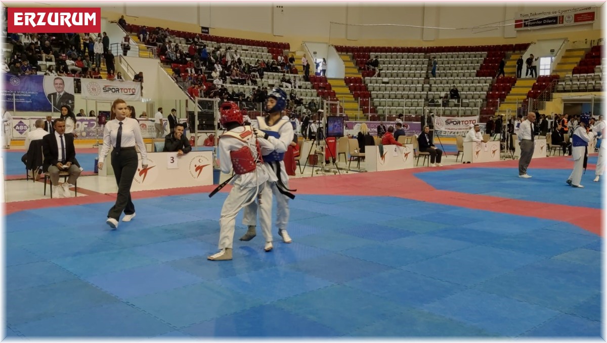 Ümitler Taekwondo Şampiyonası başladı