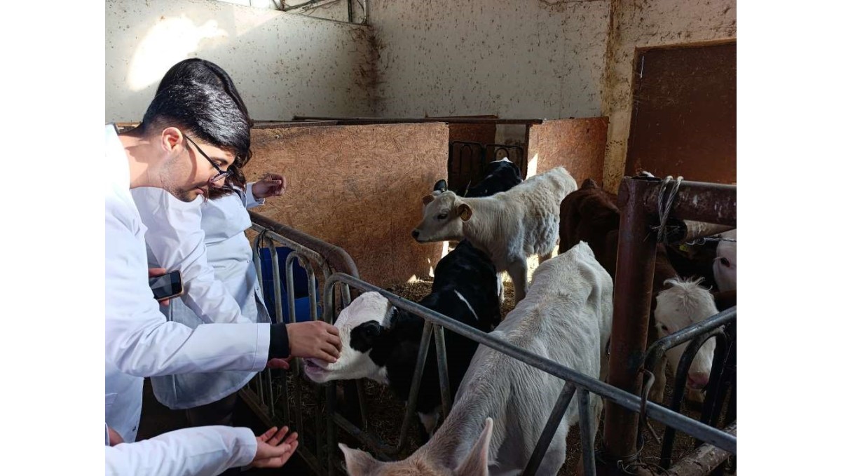 Üniversite öğrencileri Van'da sertifikalı sığır yetiştiriciliği eğitimine katıldı