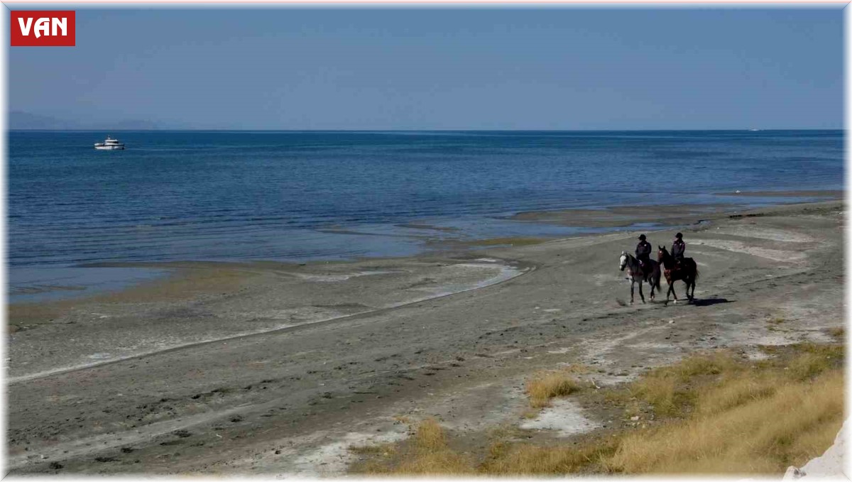 Üniversite öğrencisi Rojin'den haber alınamıyor