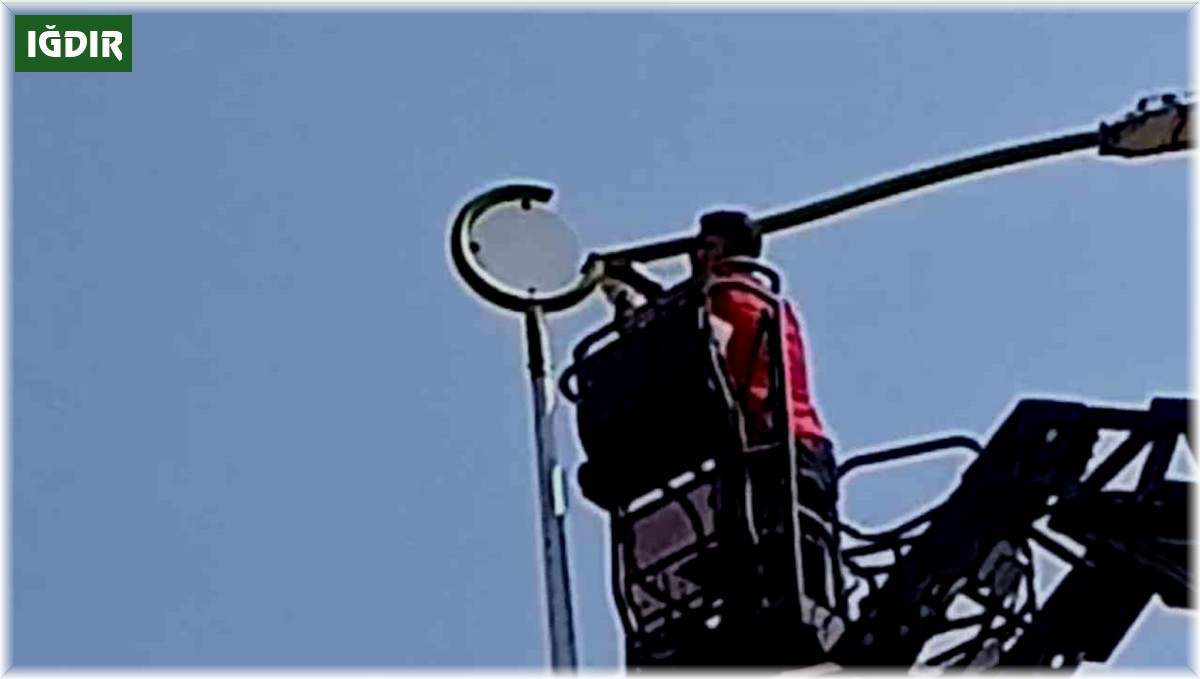 Üniversite personelinden karga kurtarma operasyon